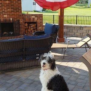 Meet your Posher, Michele